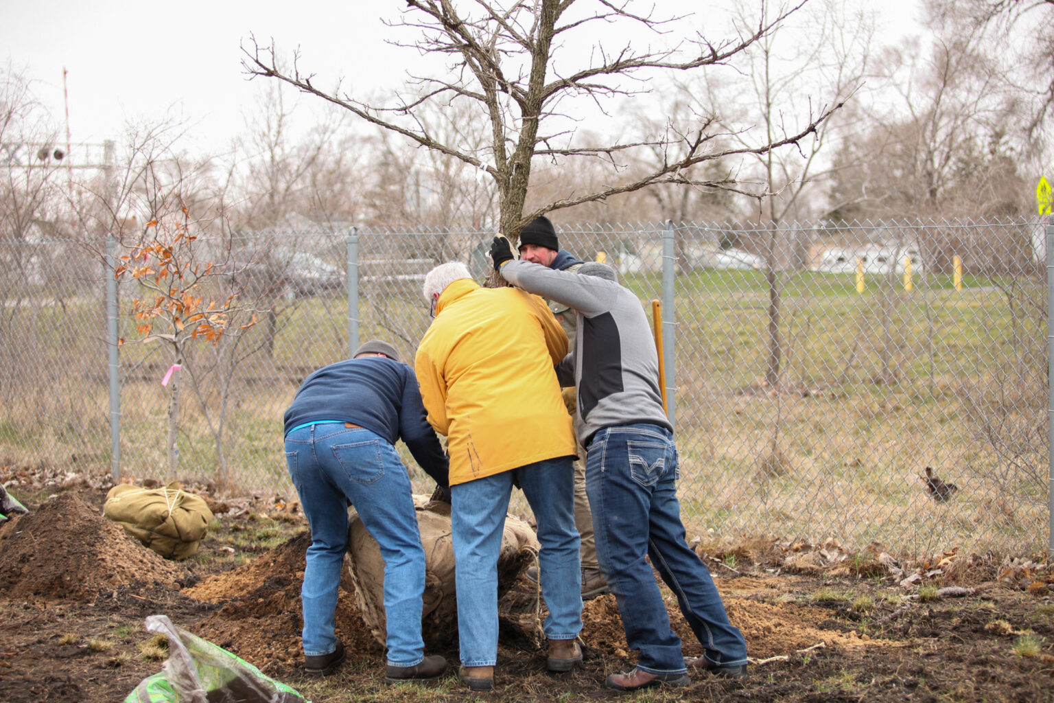 Program to spread trees throughout Bay and Saginaw counties takes root